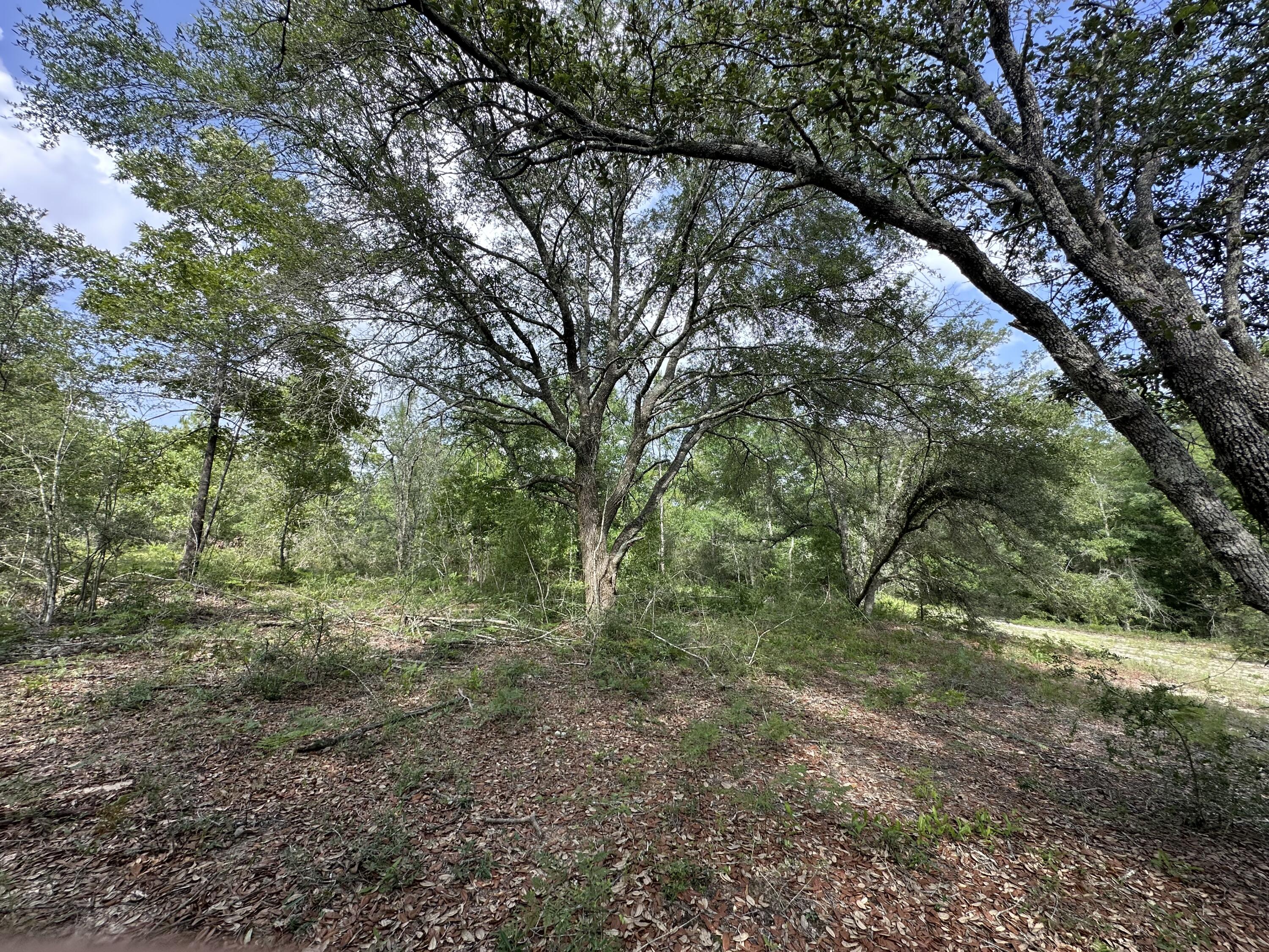 NO RECORDED SUBDIVISION - Land