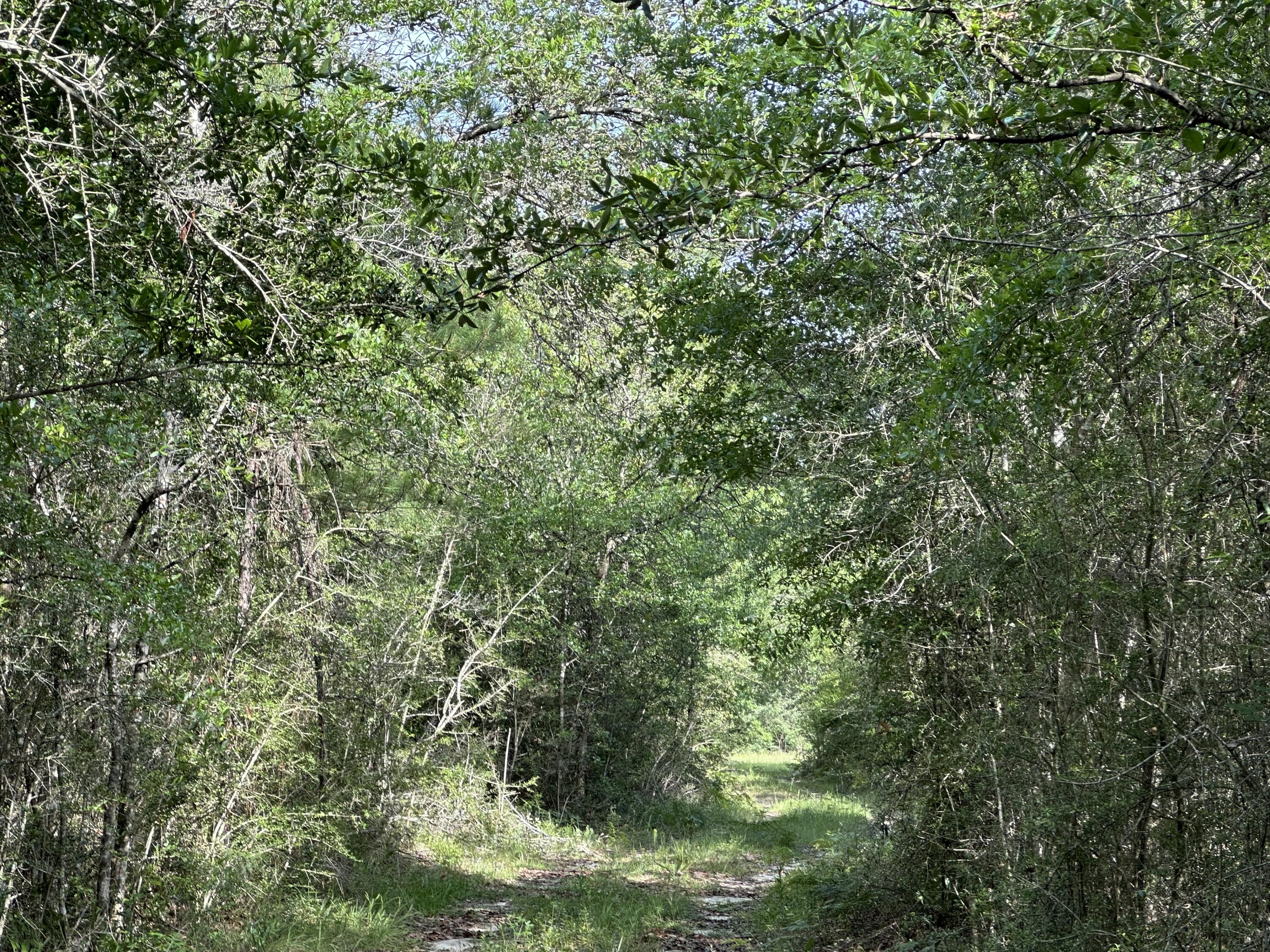 NO RECORDED SUBDIVISION - Land