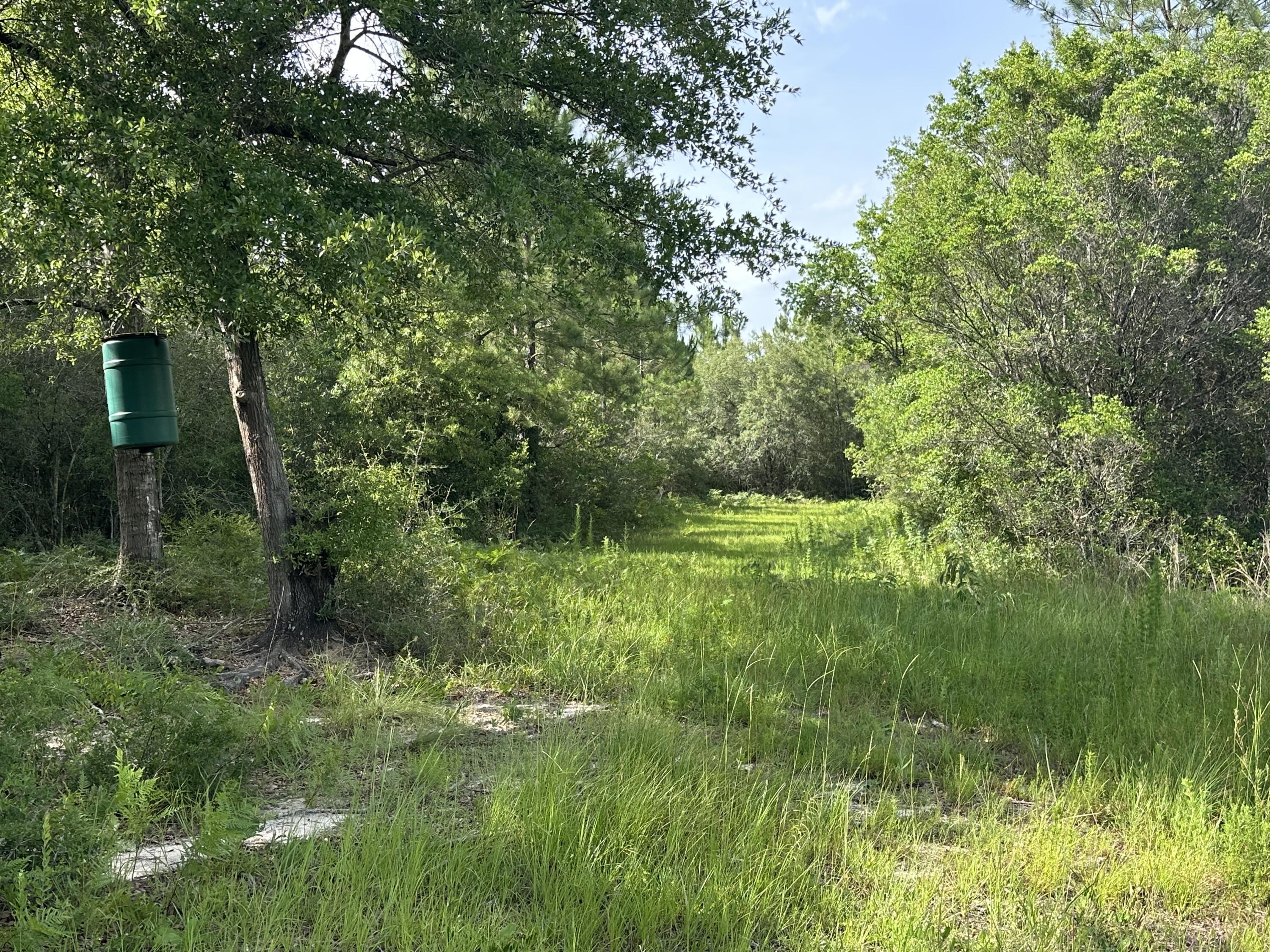 NO RECORDED SUBDIVISION - Land