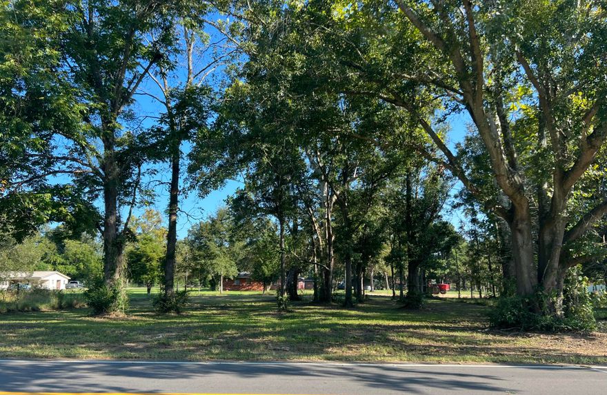 Vacant lots in Glendale Community with paved road frontage.  Survey available.  Electric available at road but will require septic and well.