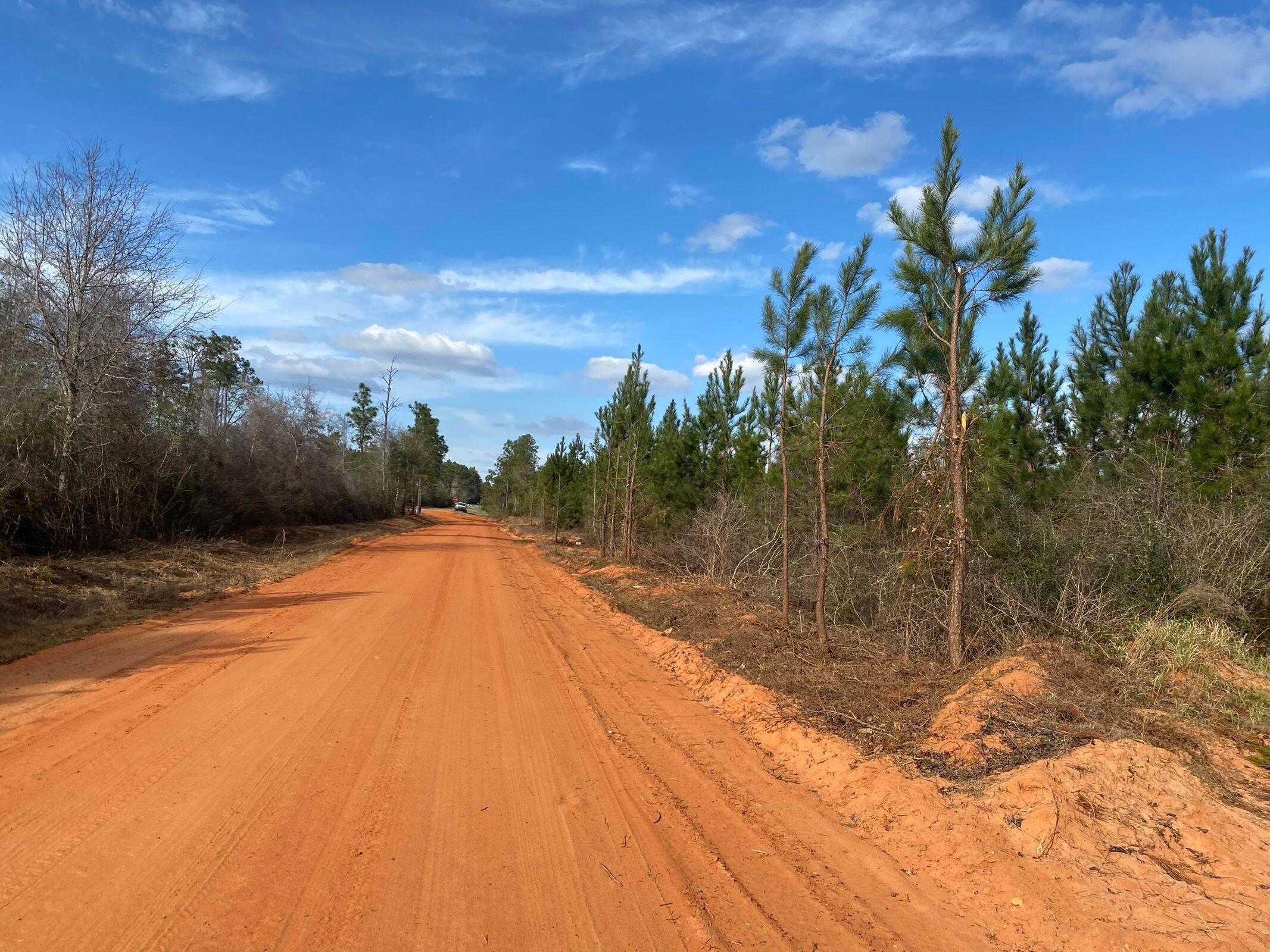 Bring your Build plans today!21+/- Acres of Beautiful timberland. Local Schools: Central for Elementary, Central High School for both Middle and High schoolers.