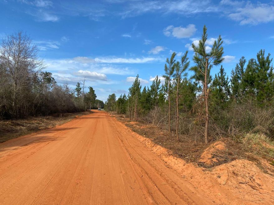 Bring your Build plans today!21+/- Acres of Beautiful timberland. Local Schools: Central for Elementary, Central High School for both Middle and High schoolers.