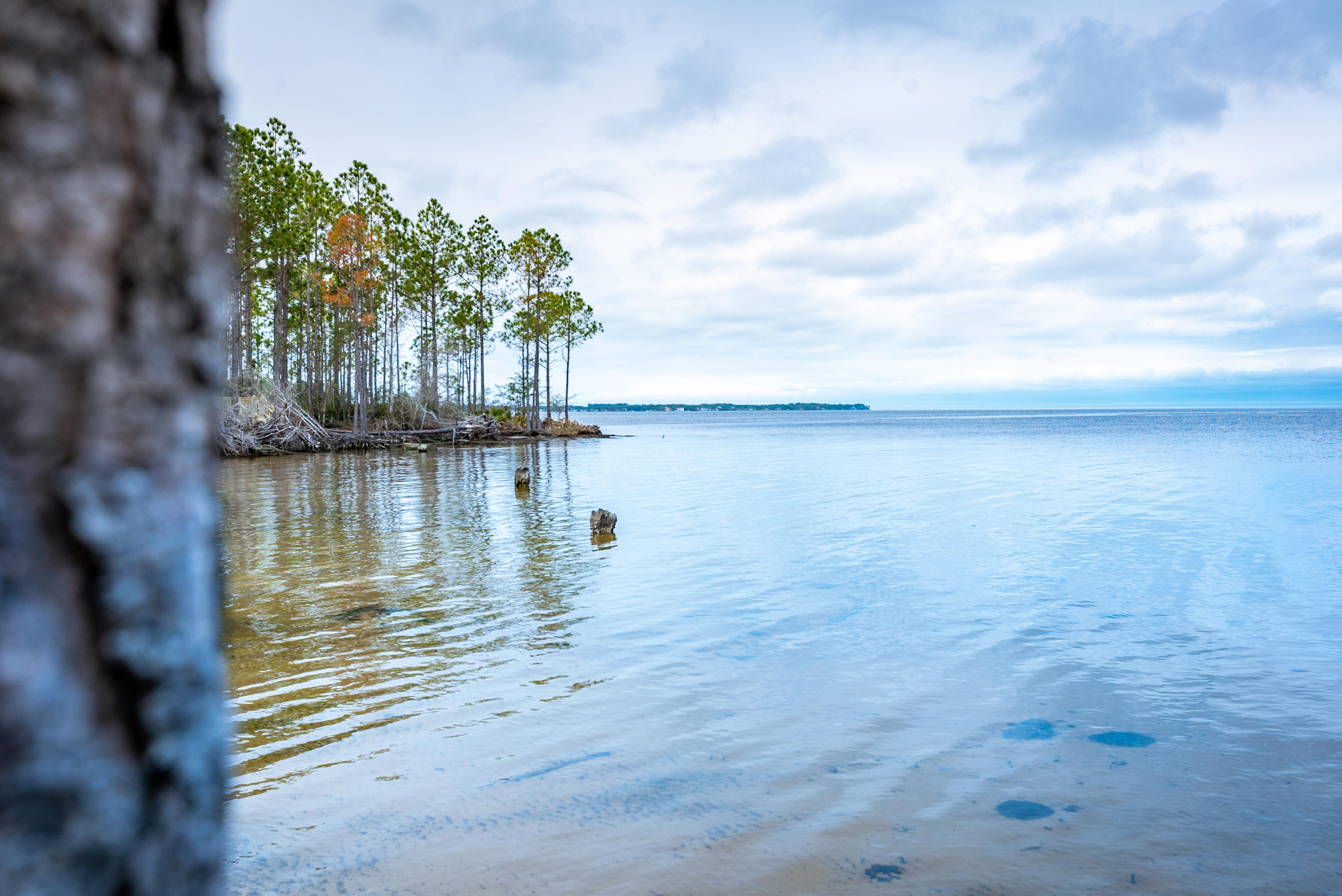 Eagle Bay Landing - Residential