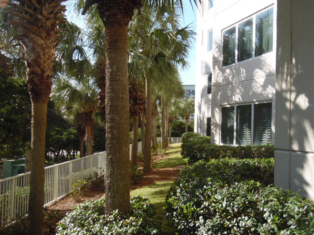 SUMMIT AT TOPS'L (THE) - Residential