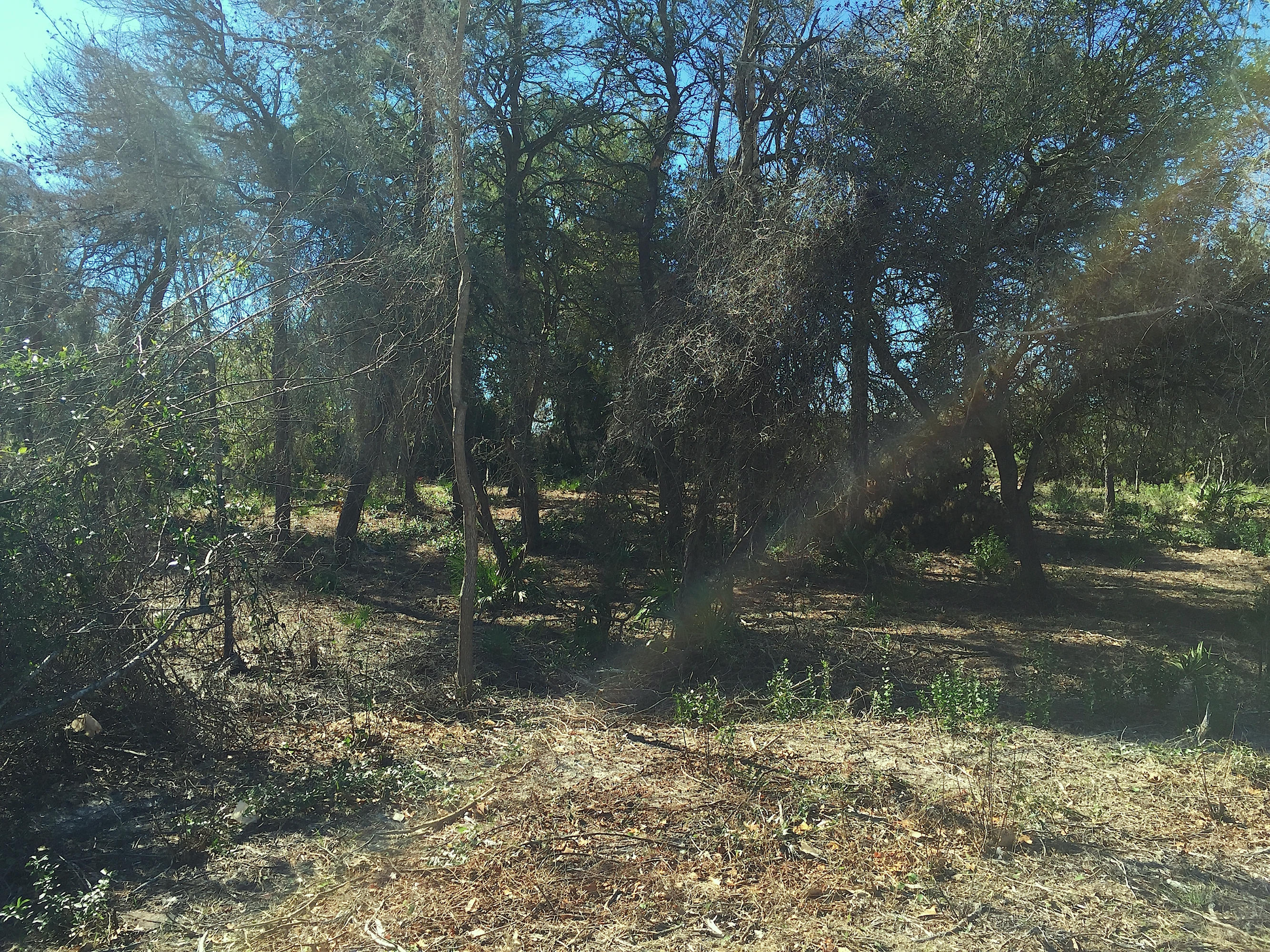 CALYPSO RESORT & TOWERS - Land