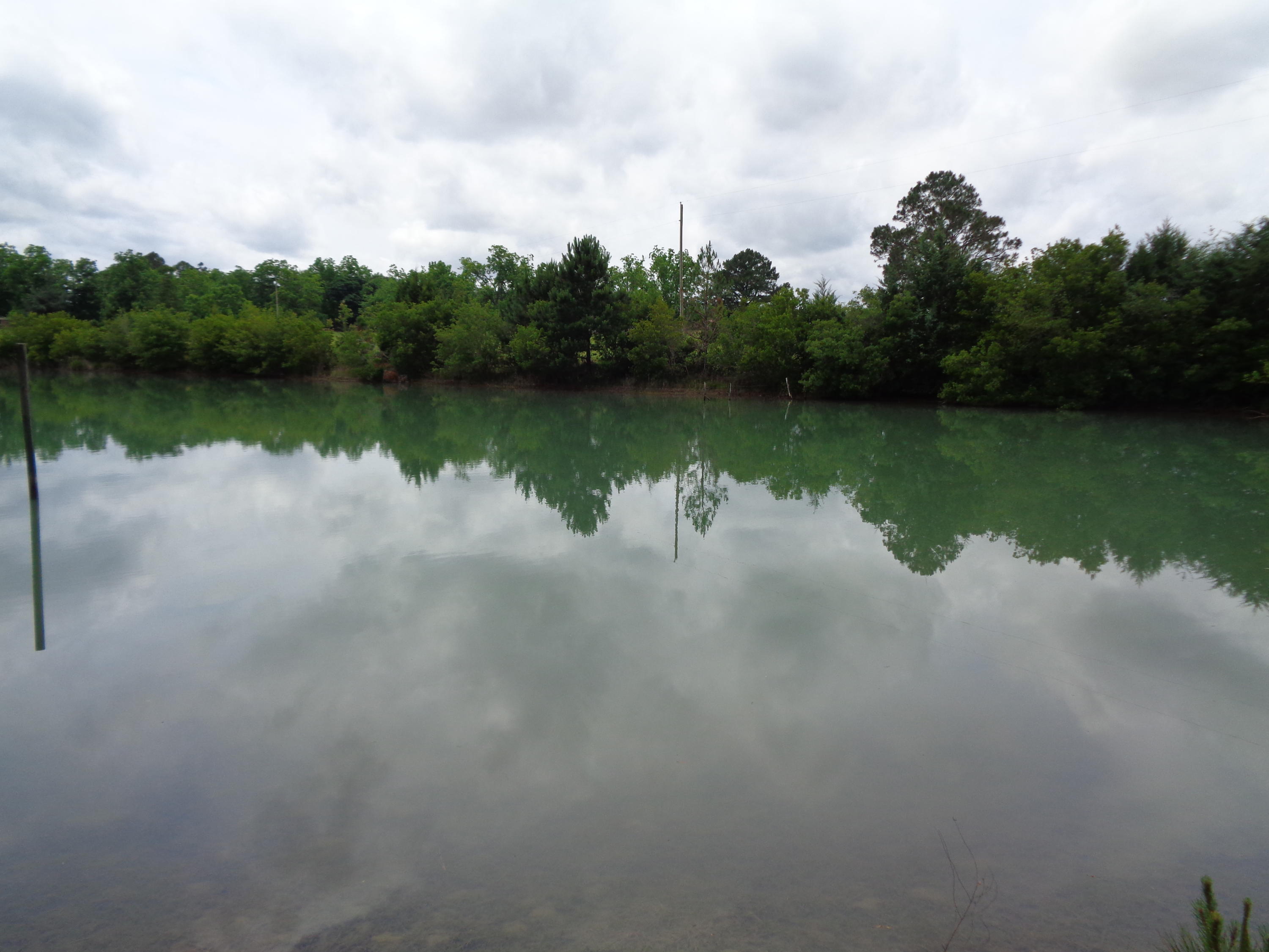 LOCATED IN NORTH WALTON THIS 20+ ACRE PARCEL WILL MAKE THIS MOST AMAZING HOMESITE FOR YOUR NEW DREAM HOME! PROPERTY OFFERS PAVED ROAD ACCESS ON 3 SIDES, A LARGE BEAUTIFUL POND AND TONS OF PLACES TO BUILD YOUR HOME. PROPERTY DOES INCLUDE A OLDER MOBILE PREVIOUSLY USED AS A RENTAL AS WELL AS A LOG CABIN THAT WAS IN THE PROCESS OF BEING BUILT. COME IN AND FINISH THIS DREAM HOME OR START OVER ON YOUR VERY OWN. MOBILES AND LIVESTOCK ALLOWED. PAXTON SCHOOL DISTRICT ZONING. RARE FIND IN THIS AREA!