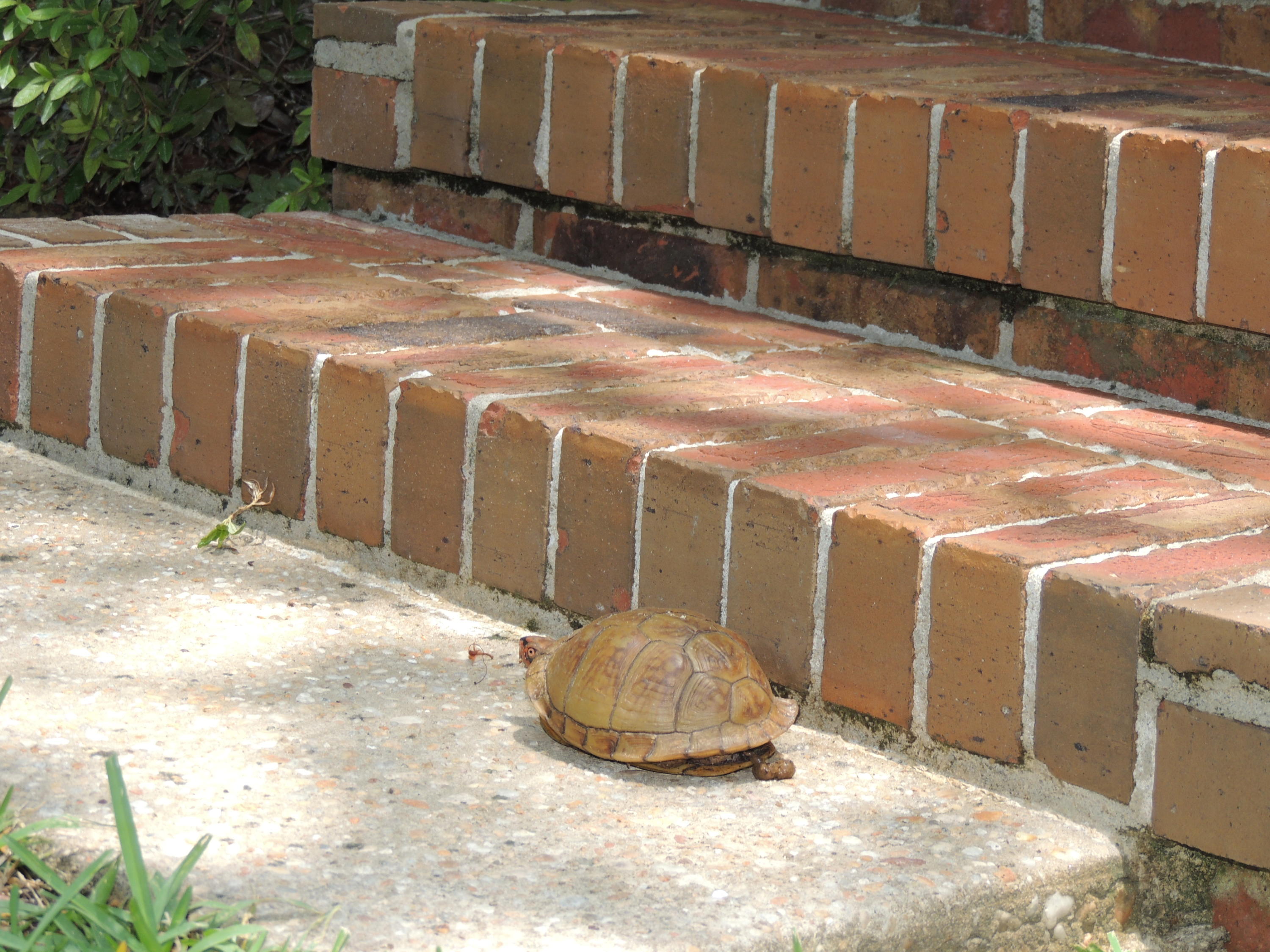 VILLAGE OF BOLTON AT BLUEWATER BAY - Residential