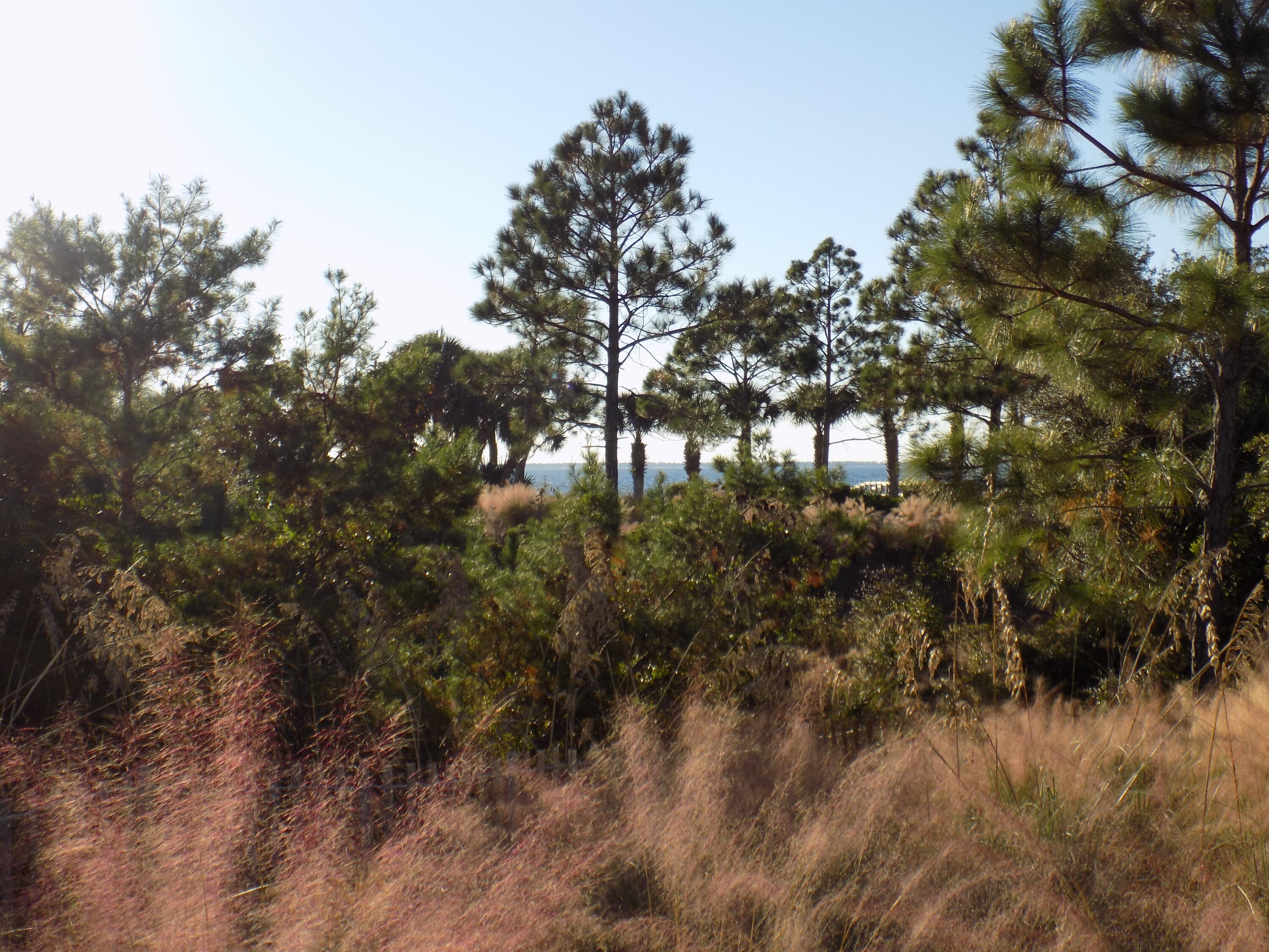 WindMark Beach Creekside Phase 2 - Residential
