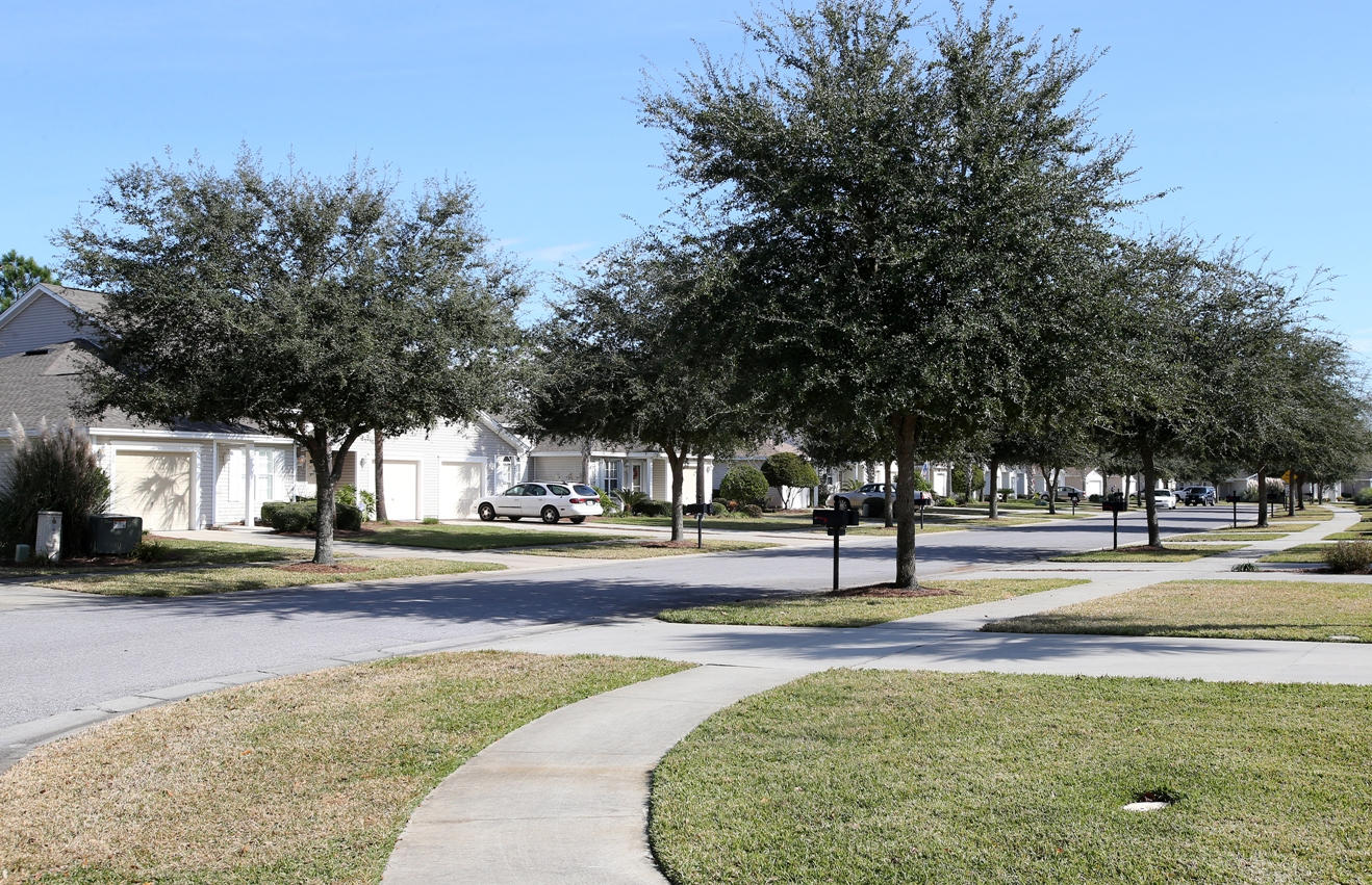 PALMETTO TRACE - Residential