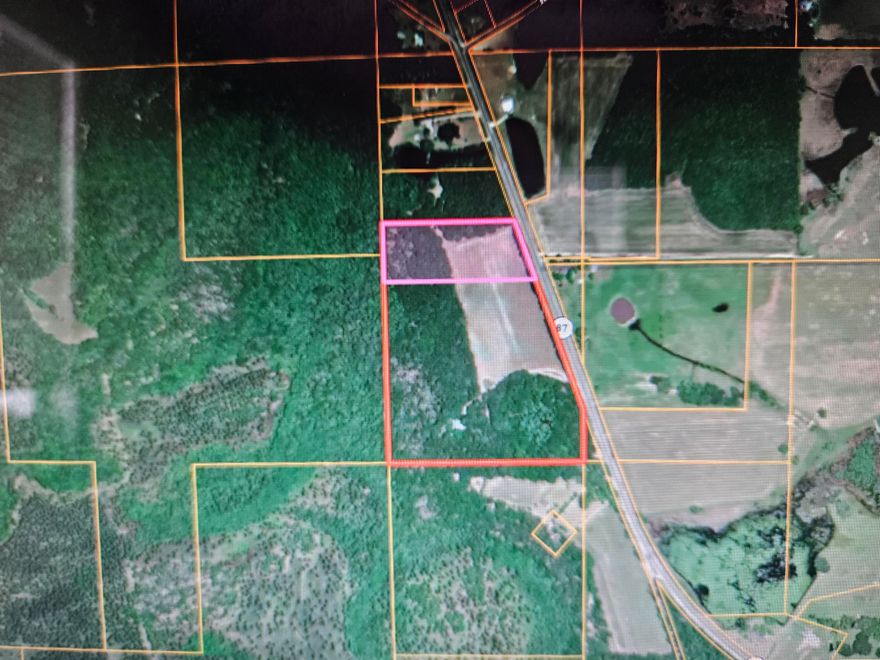8 acre parcel half pasture and half wooded - Located on S St Hwy 87 south of Samson, AL - Good homesite or small family farm.