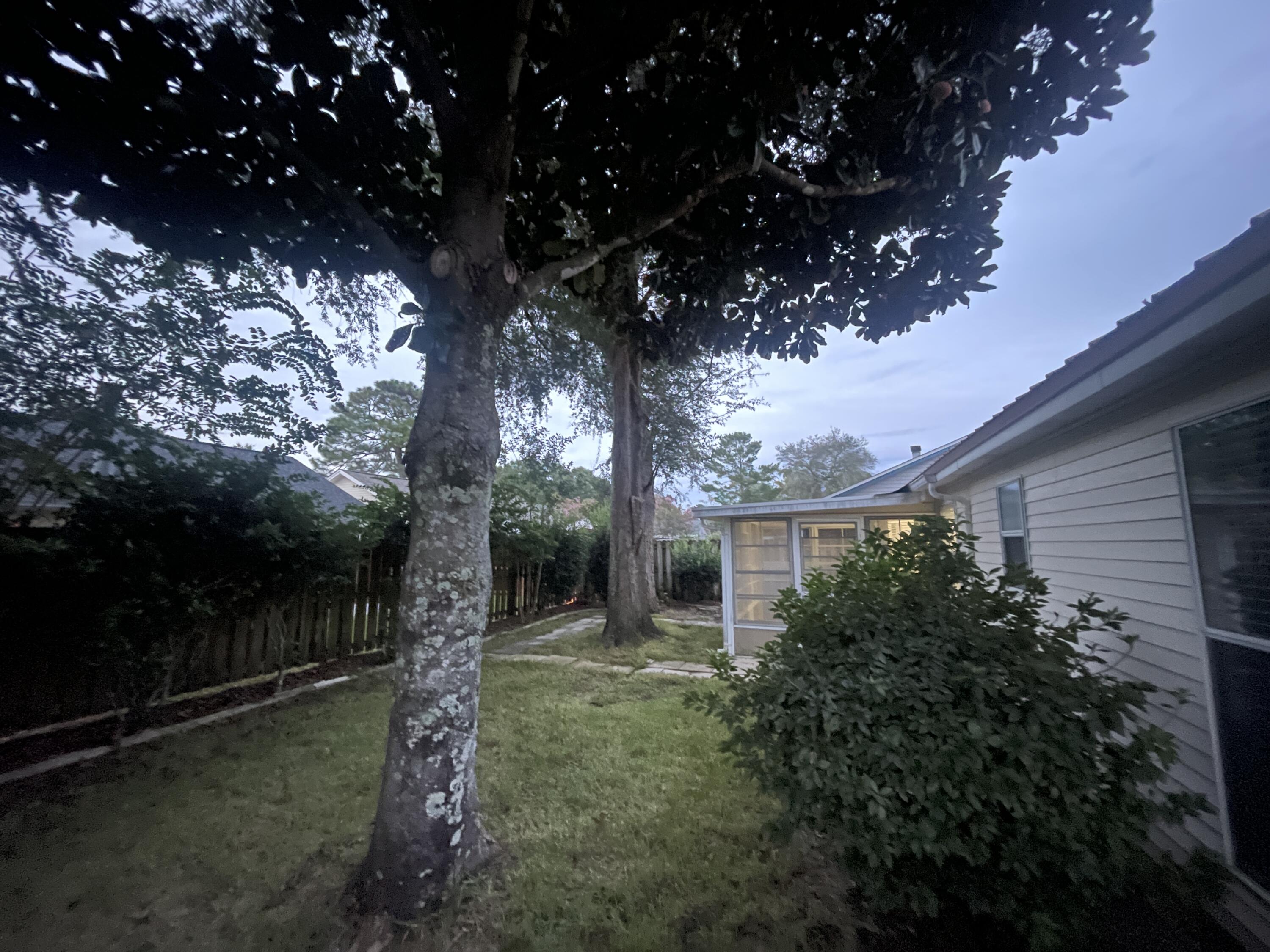 BLUE PINE VILLAGE AMENDED - Residential Lease