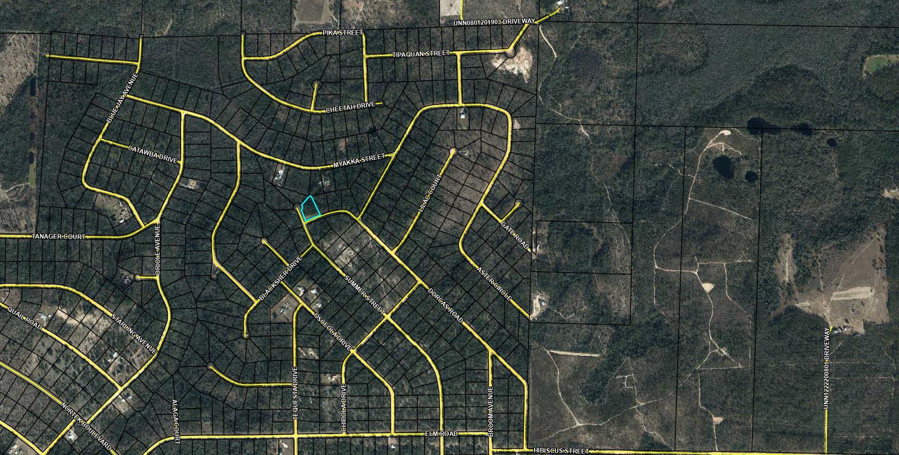 Large 1.125 acre lot in Compass Lake in the Hills. There is a voluntary HOA of $135 a year, but what a great price for all the amenities that are included such as: access to 2 lakes for fishing, tennis, horse stables / riding, rental cabins, RV spots, boat rentals, clubhouse, and a golf range. Being an all-sports lake, enjoy water skiing, tubing, jet skiing, boating, sailing, kayaking & swimming. No need to worry about lunch while out on the water when you have a boat accessible shoreline restaurant. This location is great for someone who enjoys nature and a short drive to the beach since it is located half way between Panama City And Dothan. The area is rich in historical significance, with many restored antebellum plantation homes open for tours or as bed-and-breakfast