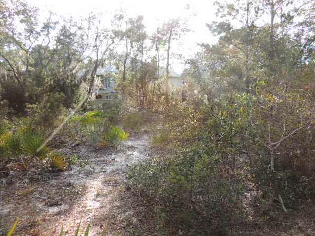 BOTANY BAYOU - Land