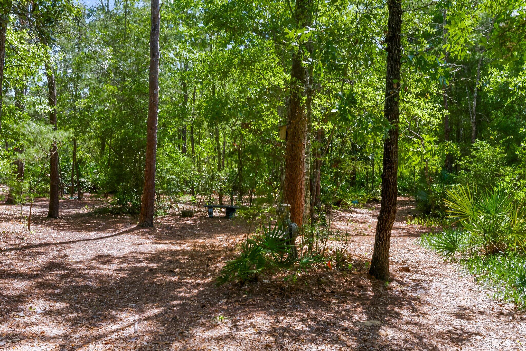 RAINTREE ESTATES - Residential