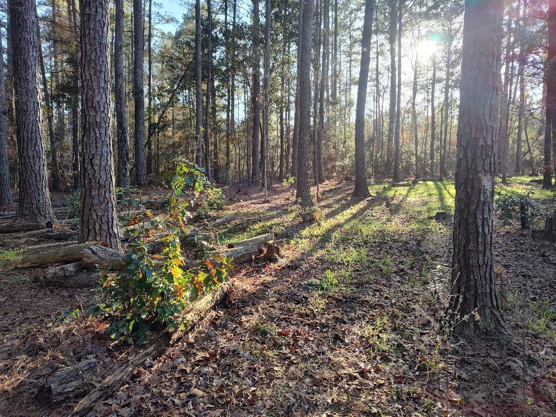 METES & BOUNDS - Farm