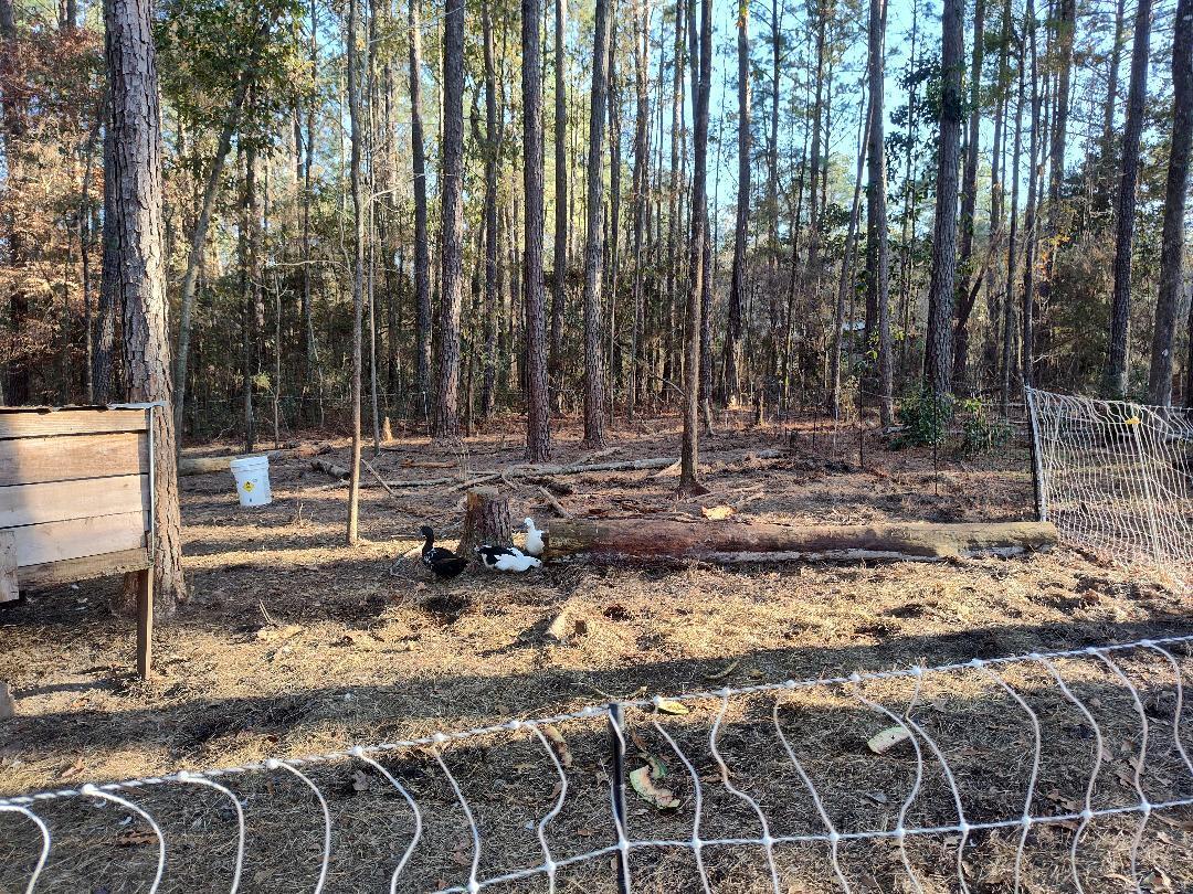 METES & BOUNDS - Farm