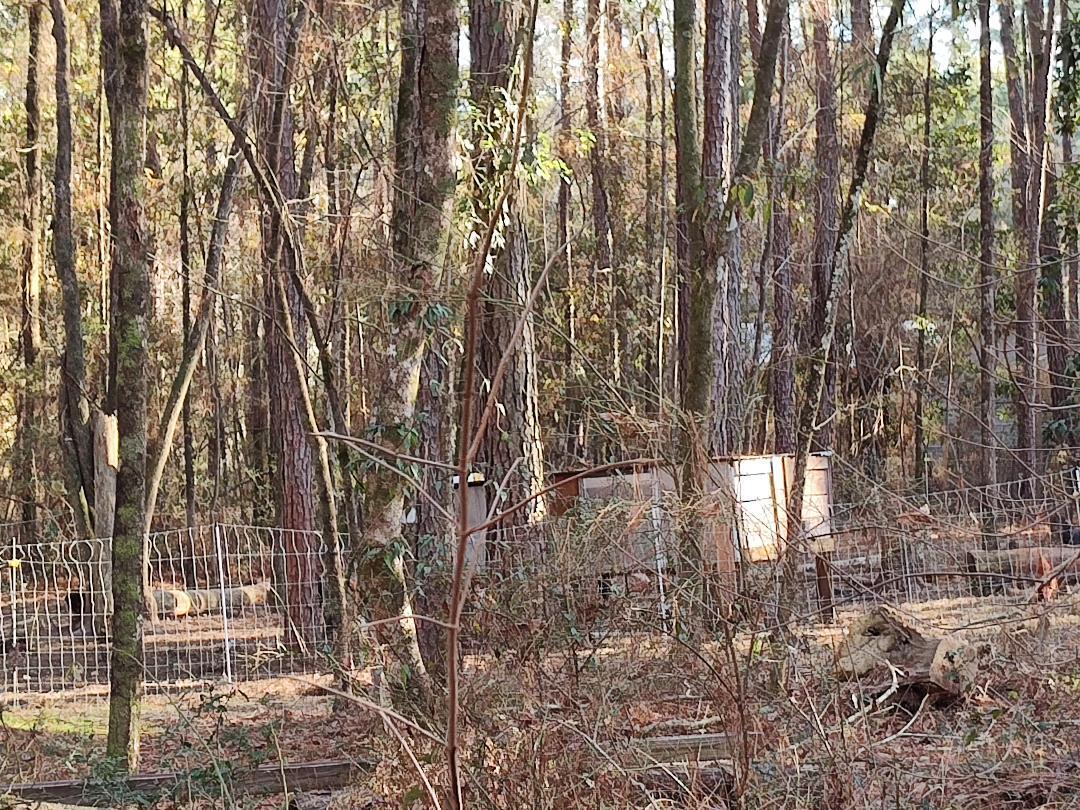 METES & BOUNDS - Farm