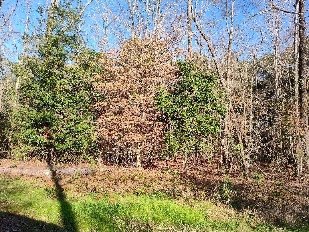 METES & BOUNDS - Farm