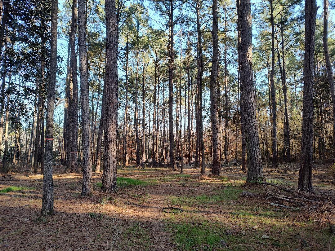 METES & BOUNDS - Farm