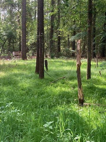 METES & BOUNDS - Farm