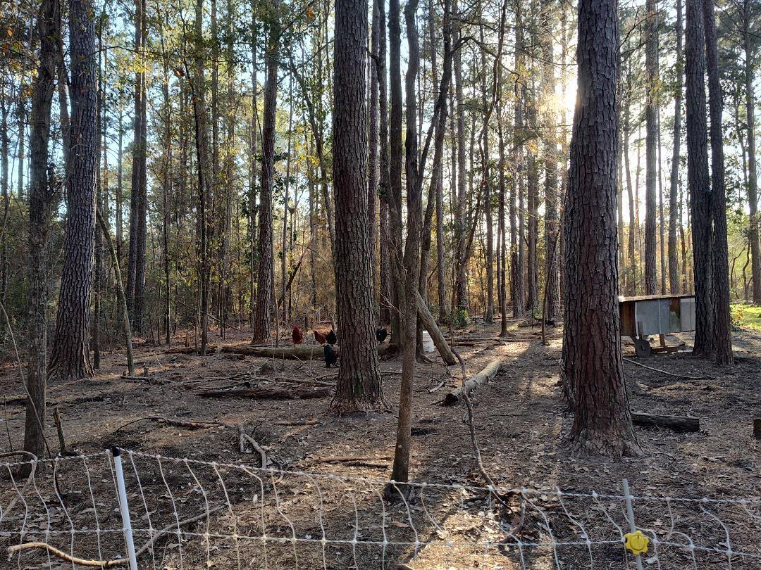 METES & BOUNDS - Farm