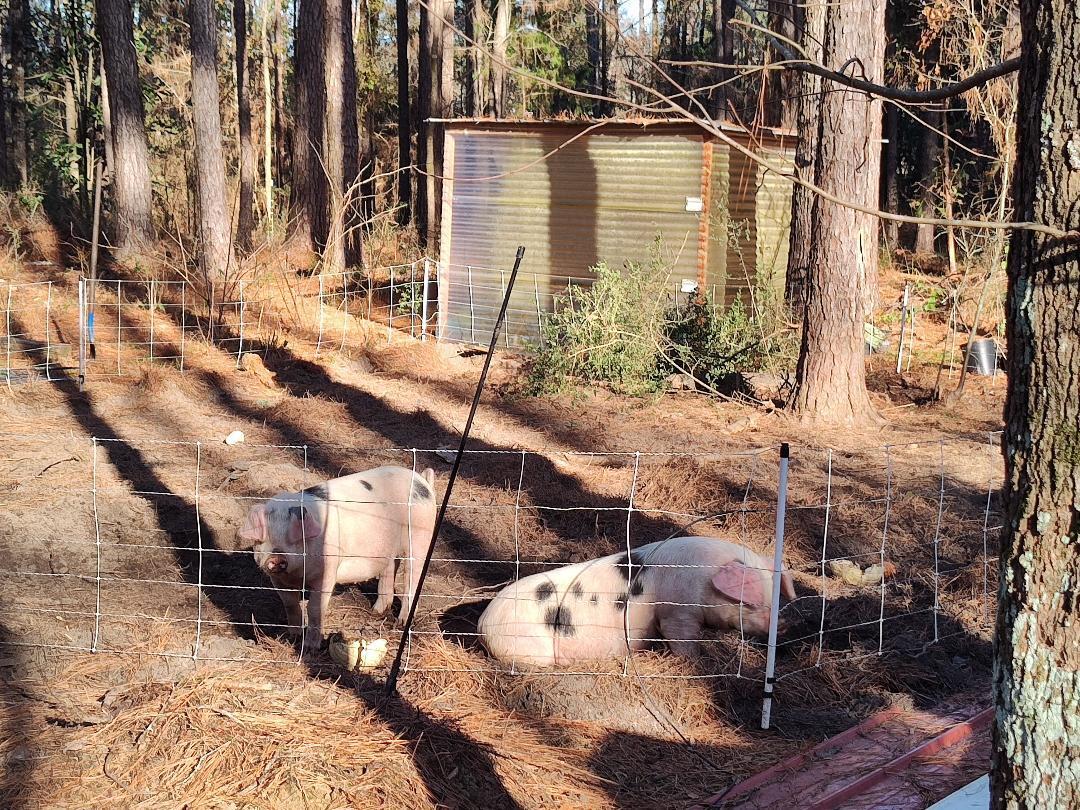 METES & BOUNDS - Farm