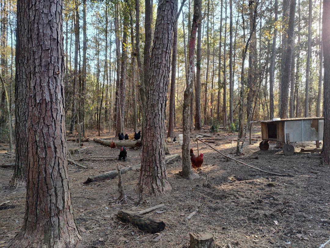 METES & BOUNDS - Farm