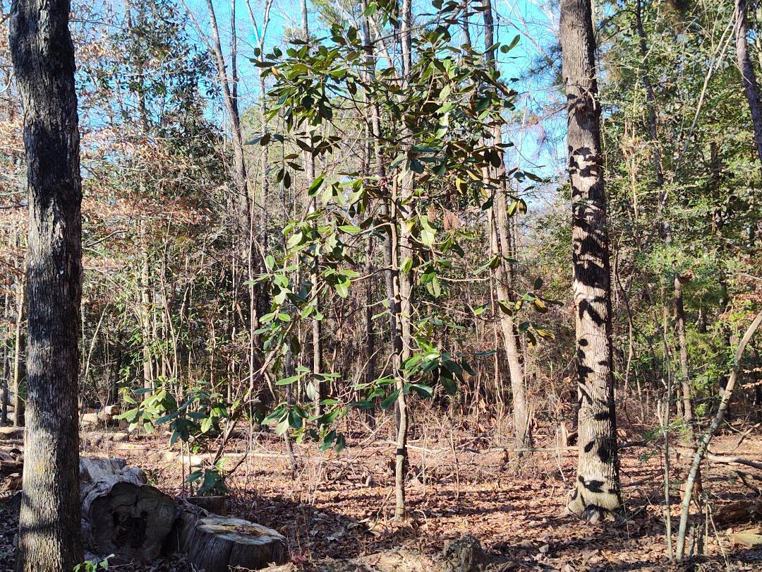 METES & BOUNDS - Farm