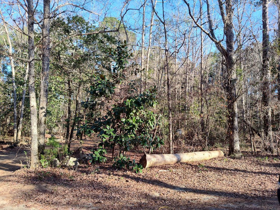 METES & BOUNDS - Farm