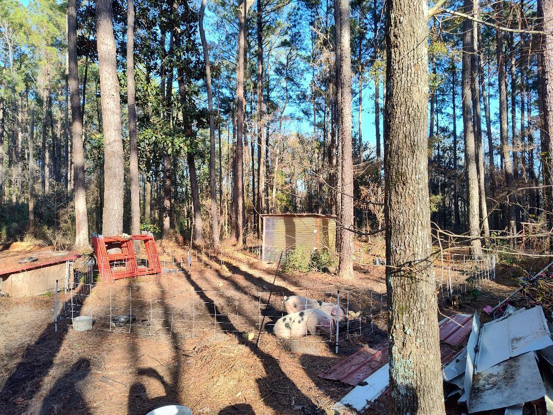 METES & BOUNDS - Farm