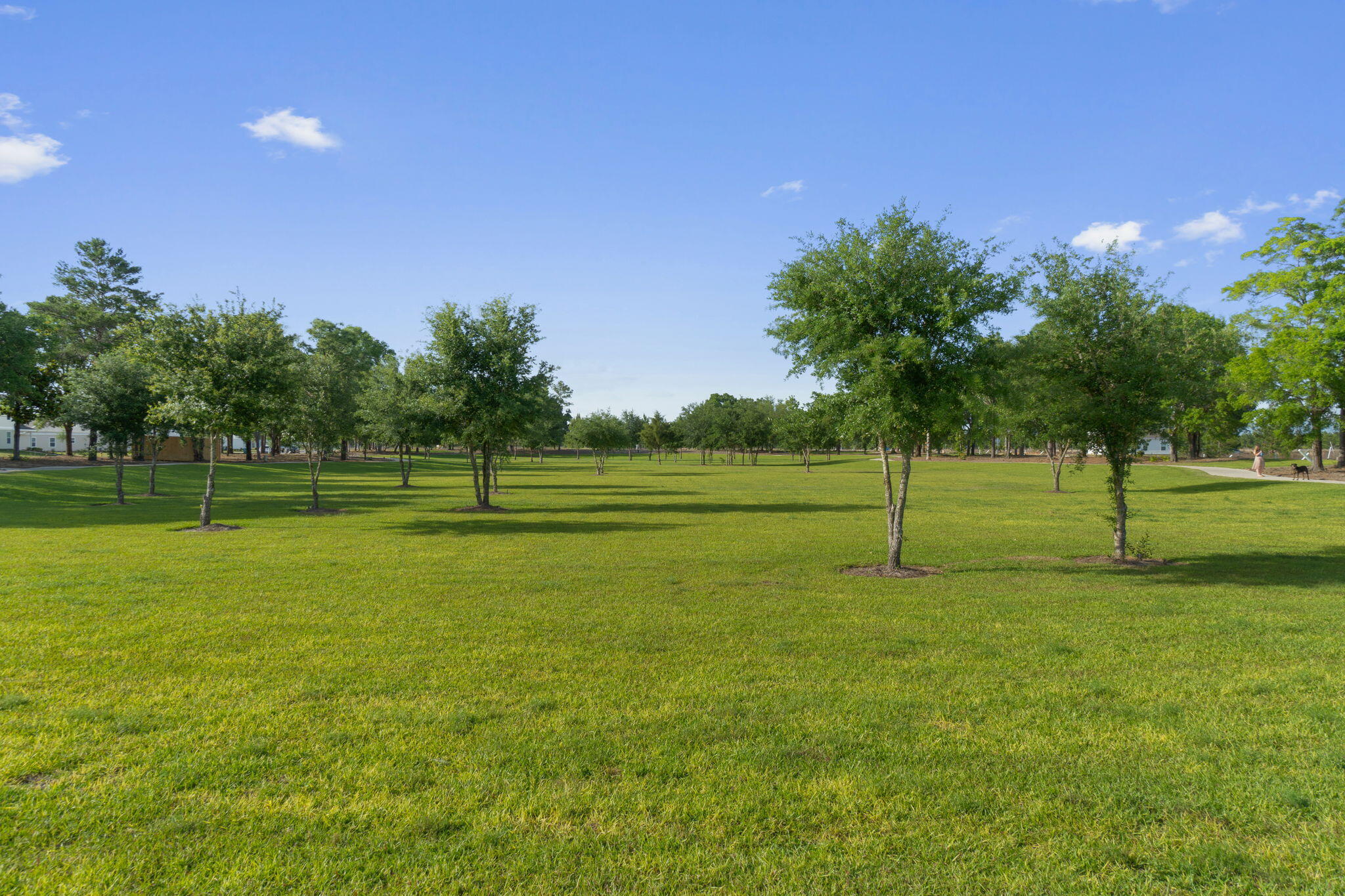 OWL'S HEAD - Residential