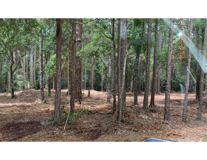 Newly subdivided lot 16a is over 1/4 acre of prime South Walton Real Estate. Less than 100 yards to the Bay. Land it newly cleared and you can start construction immediately. The Seller is also offering the adjacent lots 16b and 17a and 17b as a package to any qualifying Buyer. This is an excellent Builders opportunity to acquire adjacent buildable vacant lots in the heart of South Walton at an incredible price. Hurry this will not last long.