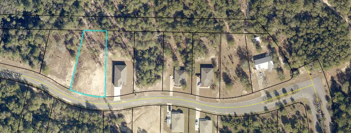 Majestic Oaks Vineyard - Land