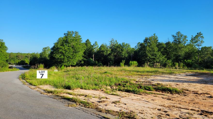 OVER Half Acre Lot For Sale: Majestic Oaks Vineyard is located far enough north on Hwy 85 to enjoy the peace and quiet of the countryside, yet only a few miles from the necessities of your family's daily activities such as schools, banking, shopping, grocery store, and movie theater. There are additional lots available. Give us a call for more details.