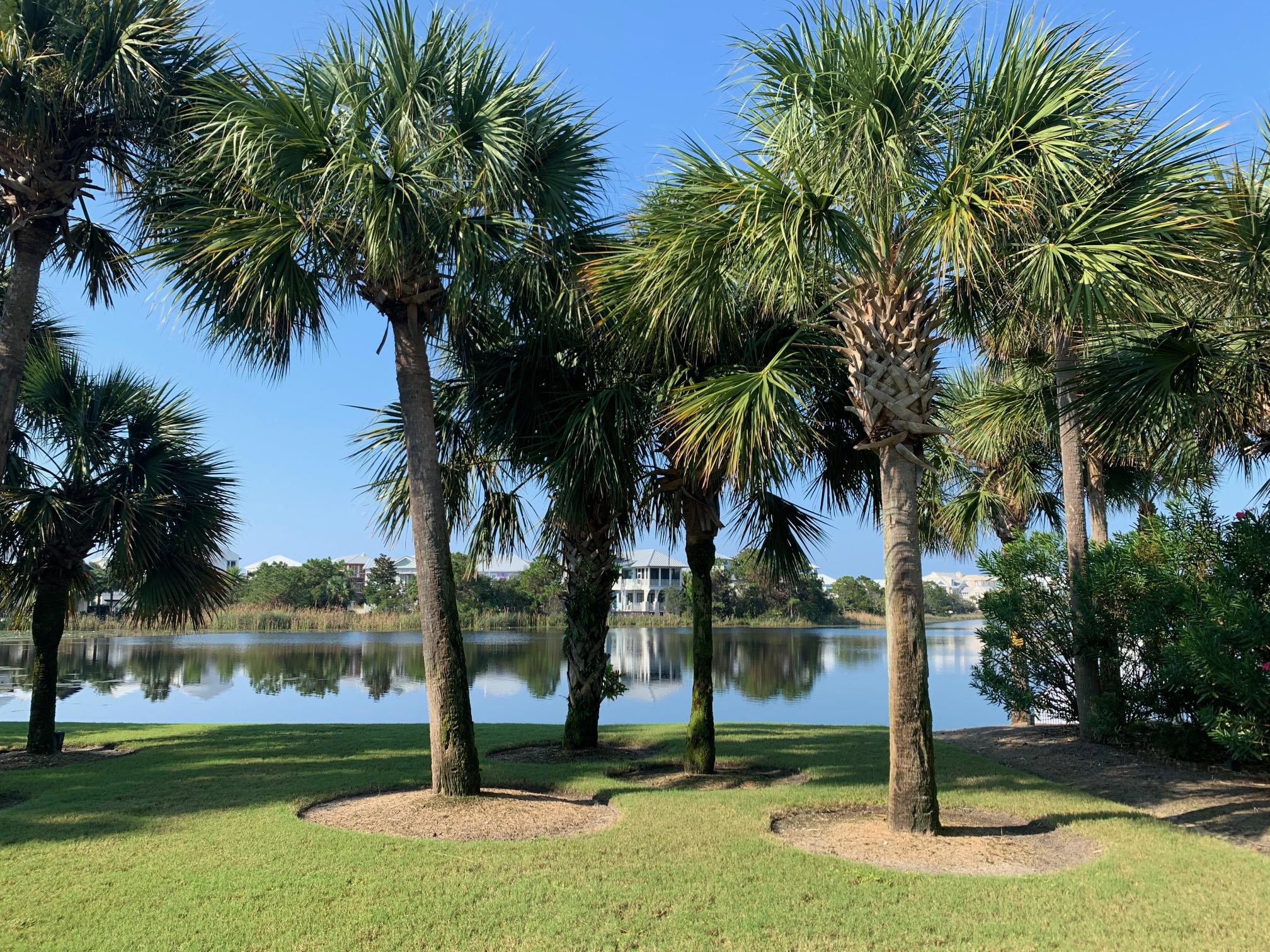 CARILLON BEACH - Land