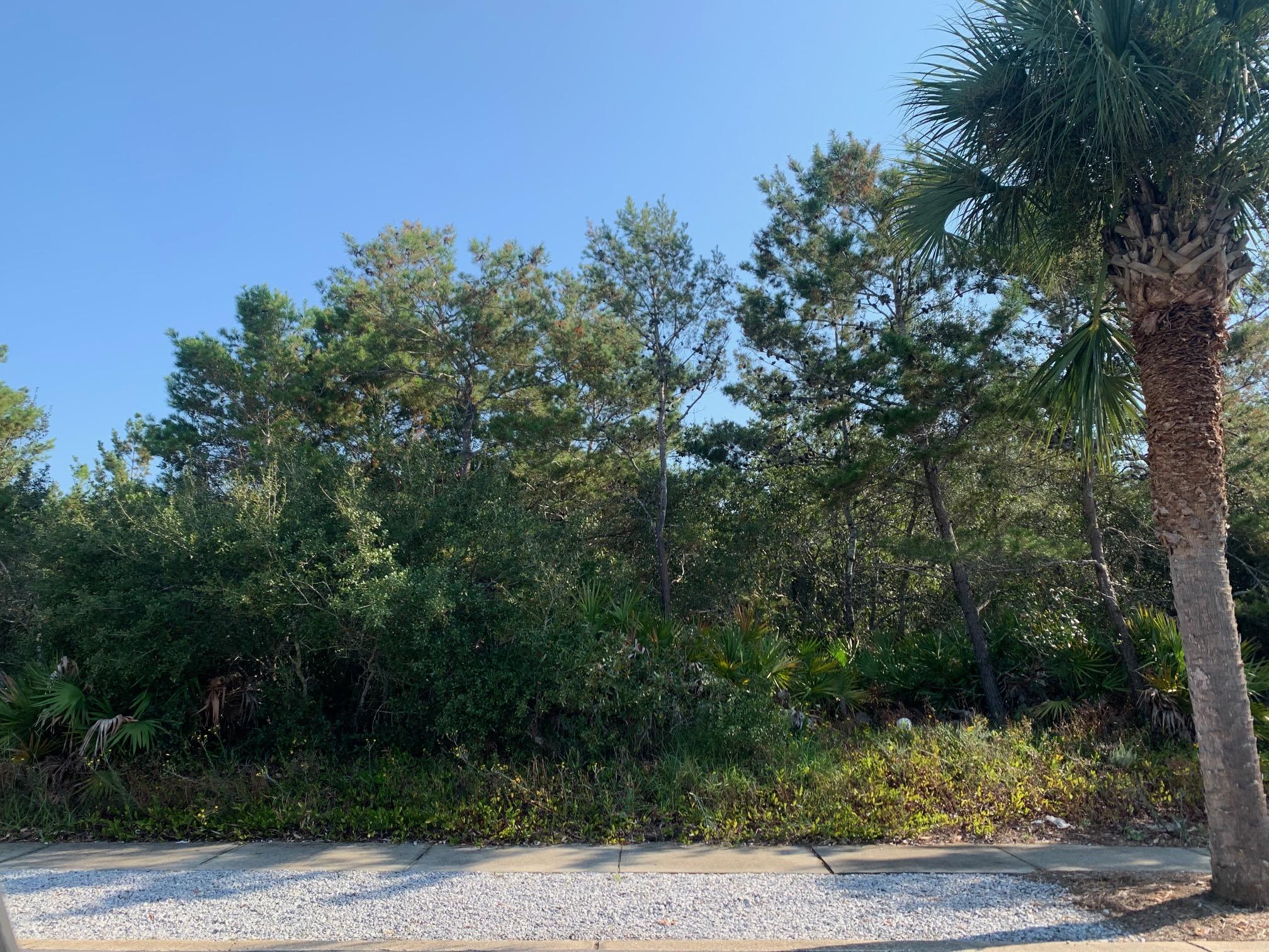 CARILLON BEACH - Land