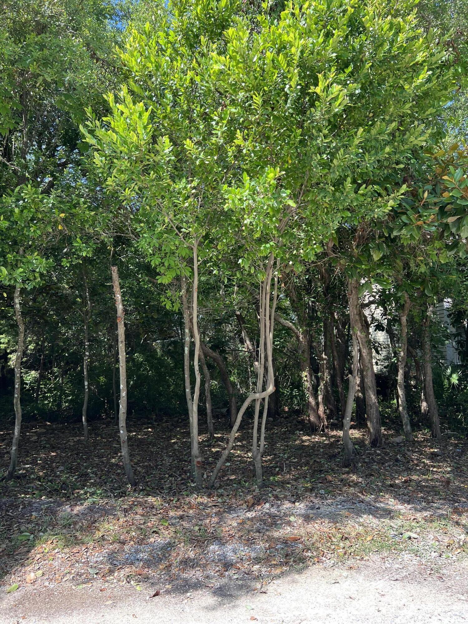 SEAGROVE 1ST ADDN - Land