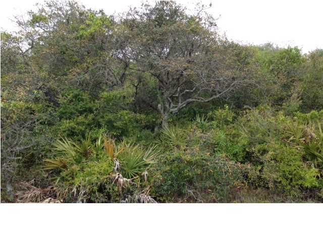 GULF SHORE MANOR - Land