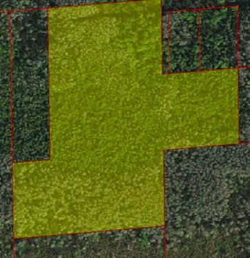 15 Acres of Secluded Property!