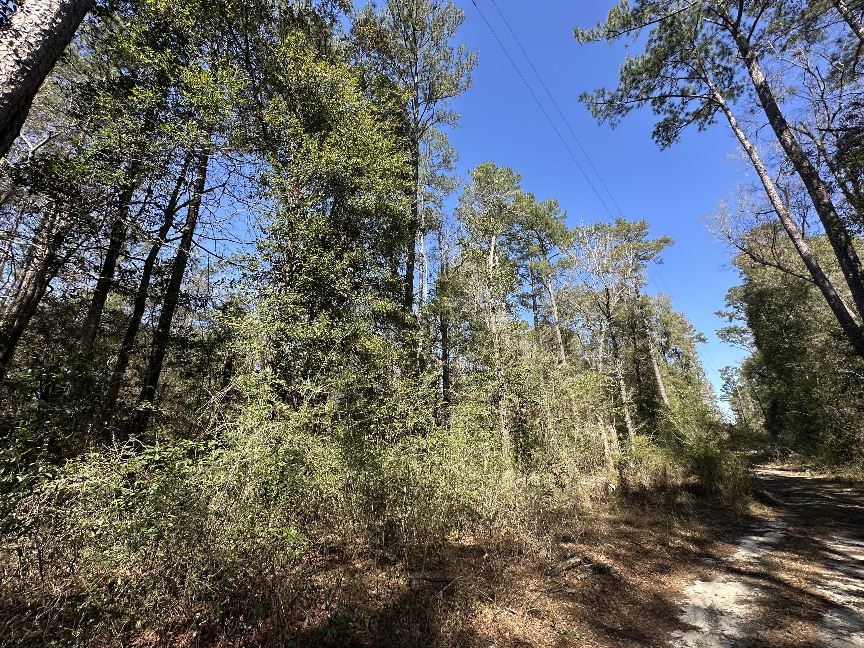 Coon Bottom Estates - Land