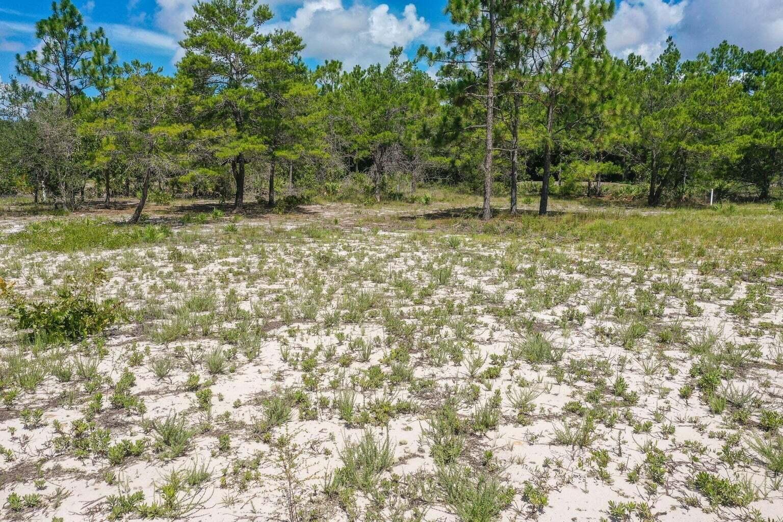 WILD HERON PHASE I - Land