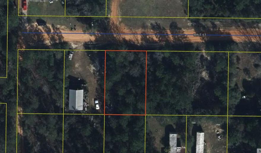 Discover the endless possibilities of owning a piece of pristine Florida land on Mint Street in Defuniak Springs. This vacant parcel offers a unique opportunity to create your dream oasis, invest in real estate, or secure a slice of nature in a rapidly growing community. With this blank canvas, you have the creative freedom to design and build your ideal home, whether it's a quaint cottage, a family estate, or an income-generating property.Seize the opportunity to own a piece of this beautiful Florida town. Whether you're a homeowner looking to build your vision or an investor seeking potential, this vacant land on Mint Street is your canvas. Contact us today to schedule a viewing and embark on your real estate journey in Defuniak Springs!