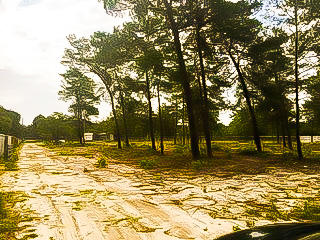 WHITE PINES UNREC - Land