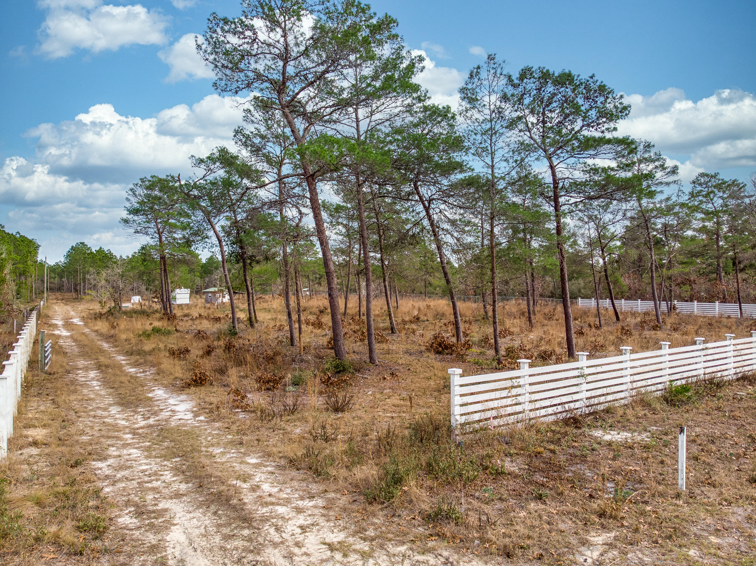 Here is your chance to own close to five acres in the growing community of Freeport. More than ideal for getting away from the hustle and bustle of town and settling into the luxury of country privacy. If your dream home vision includes spacious land complete with horses running about and kids having room to roam free, then this stunning piece of property is FOR YOU! X FLOOD ZONE, so the possibilities are endless with no flood insurance required. TAP FEES paid!