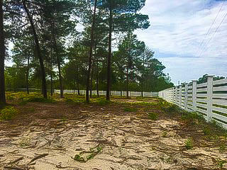 WHITE PINES UNREC - Land