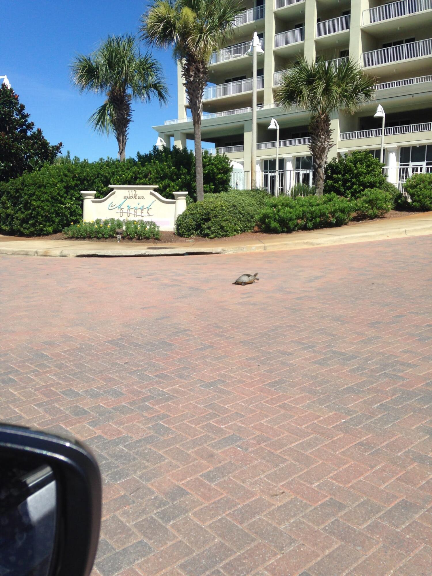 ARIEL DUNES II - Residential