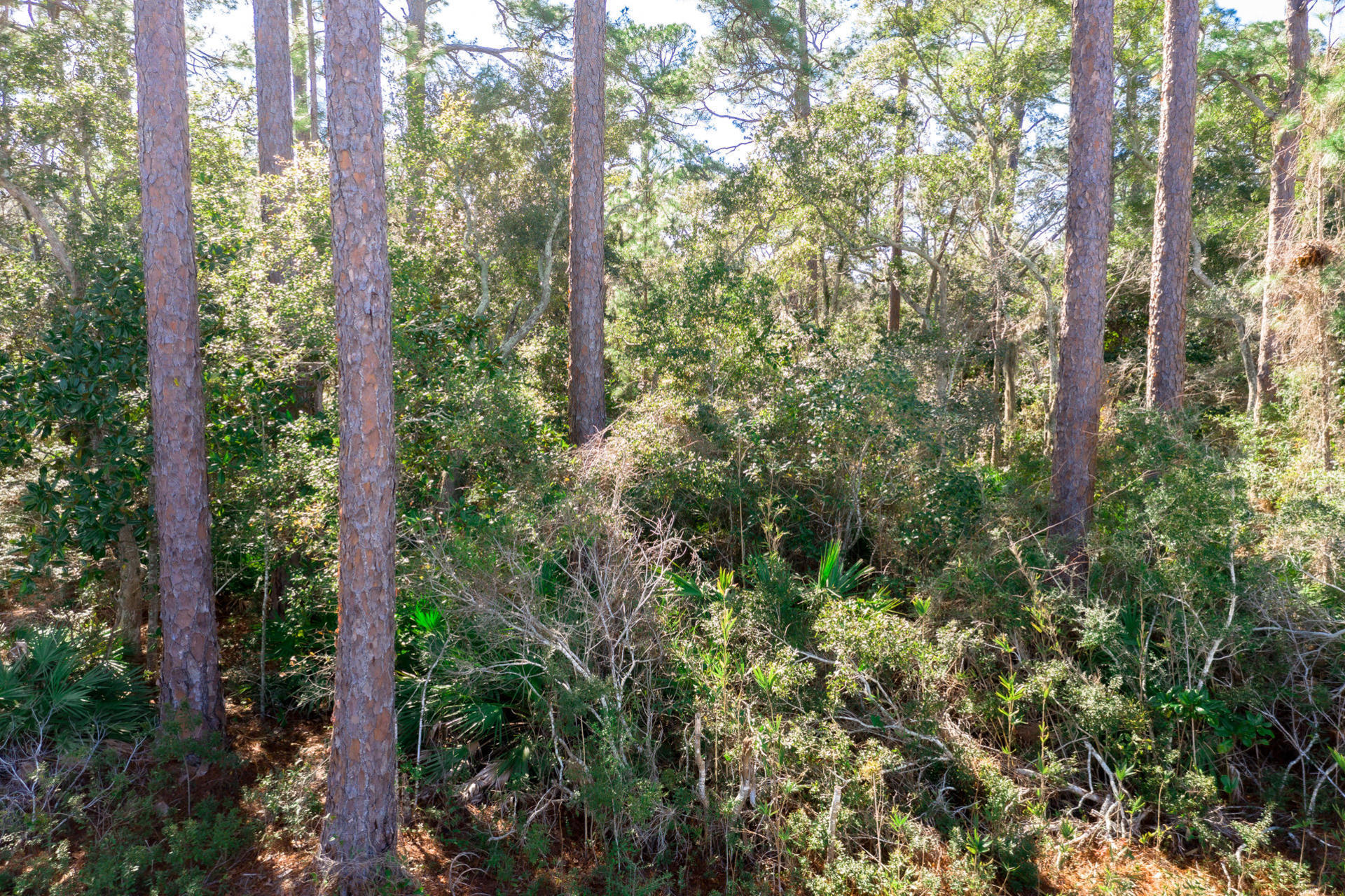 SANTA ROSA BEACH ESTATES - Land