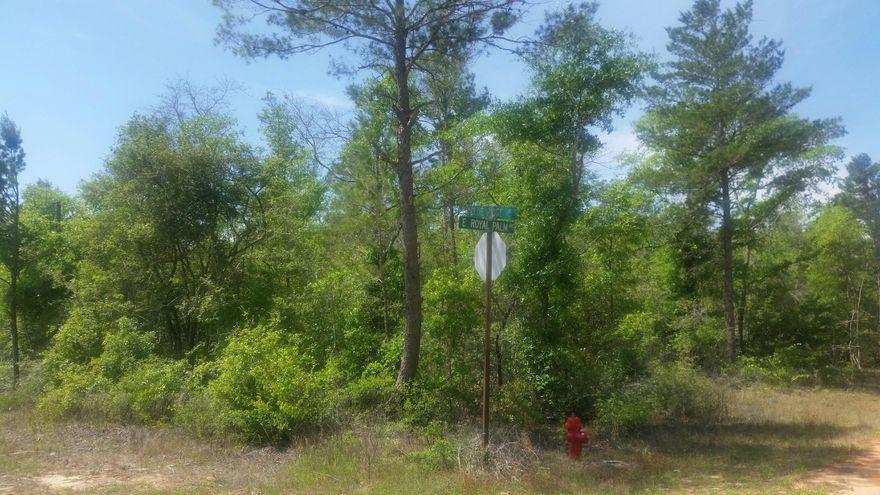 Beautiful corner wooded lot located on a paved road close to the I-10 interstate Mossy Head exit. Lot size subject to an up to date survey.