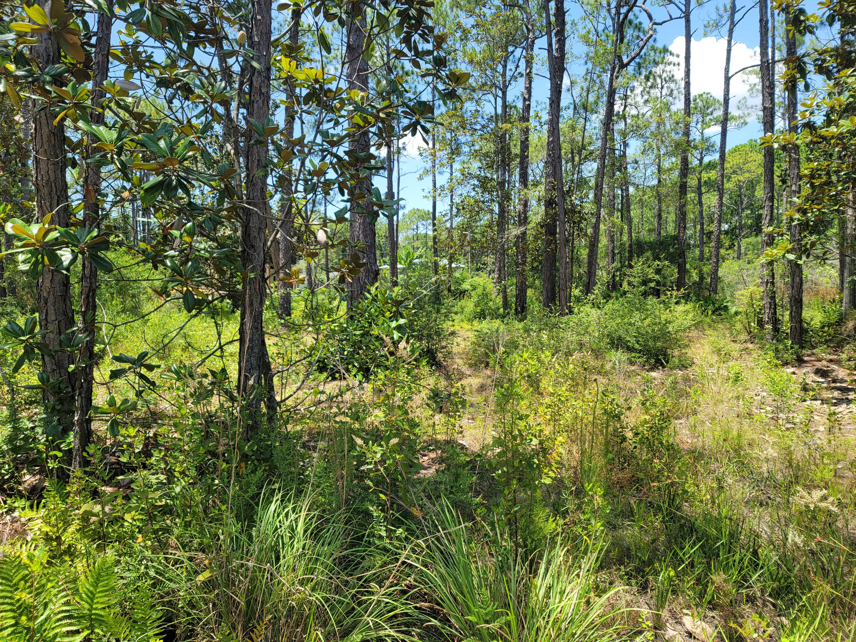 TOWN OF SANTA ROSA - Land