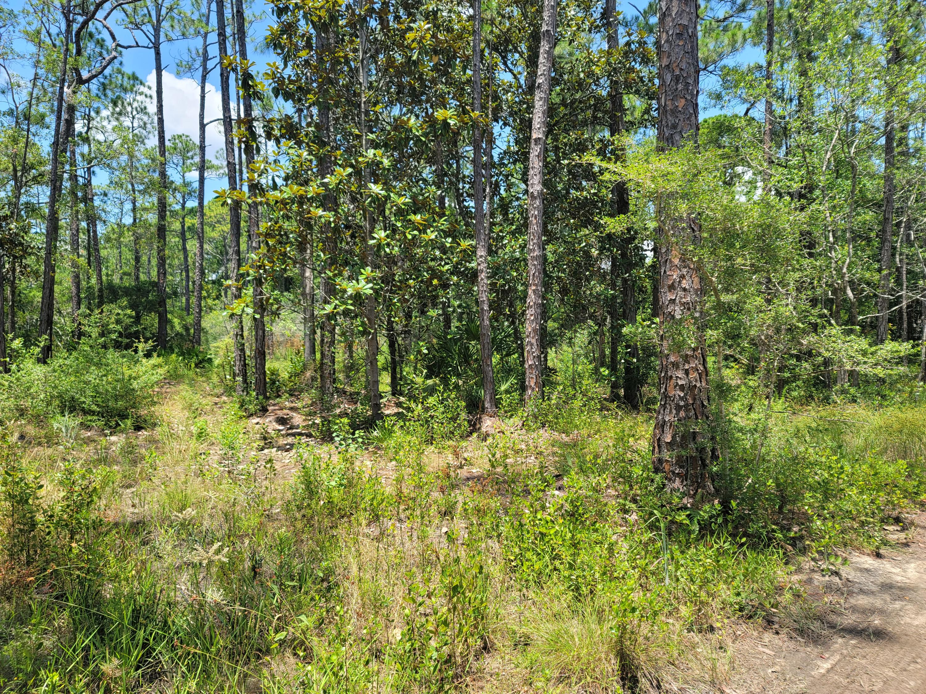 TOWN OF SANTA ROSA - Land